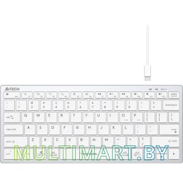 Клавиатура A4Tech Fstyler FX51 (серебристый/белый) картинка 2
